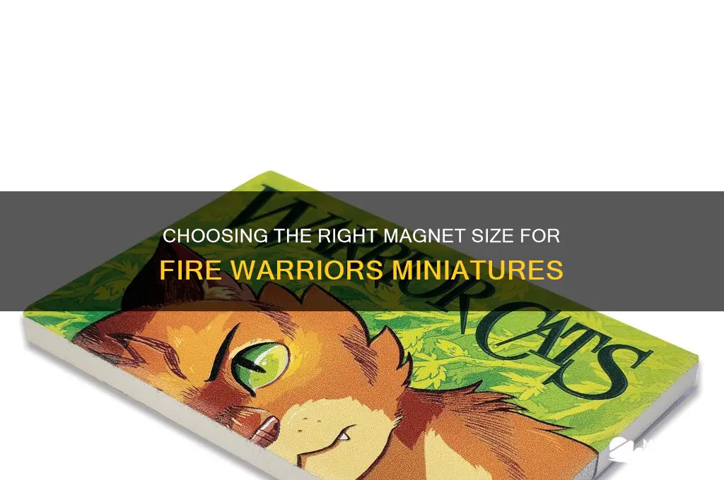 what size magnet to use for fire warriors