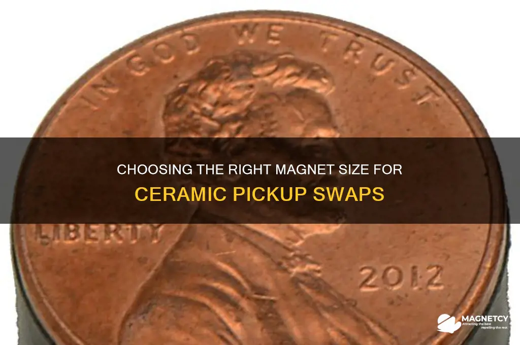 what size magnet to use for pickup swap cerami