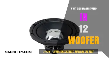 Optimal Magnet Size for 12-Inch Woofers: A Comprehensive Guide