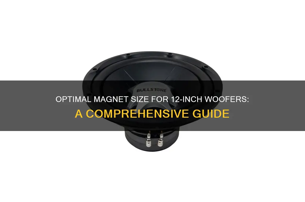 what size magnet used in 12 woofer