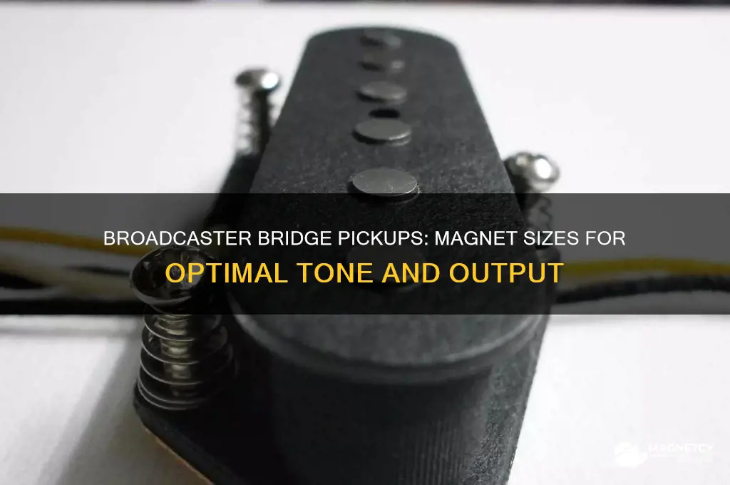 what size magnets are used on broadcaster bridge pickups