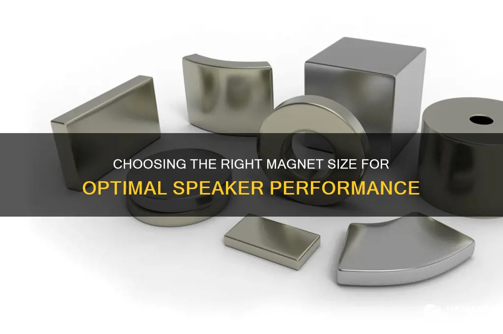what size magnets for speakers use