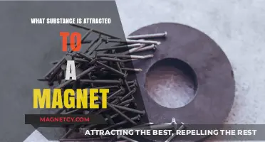 Magnetic Materials: Unveiling Substances Naturally Attracted to Magnets