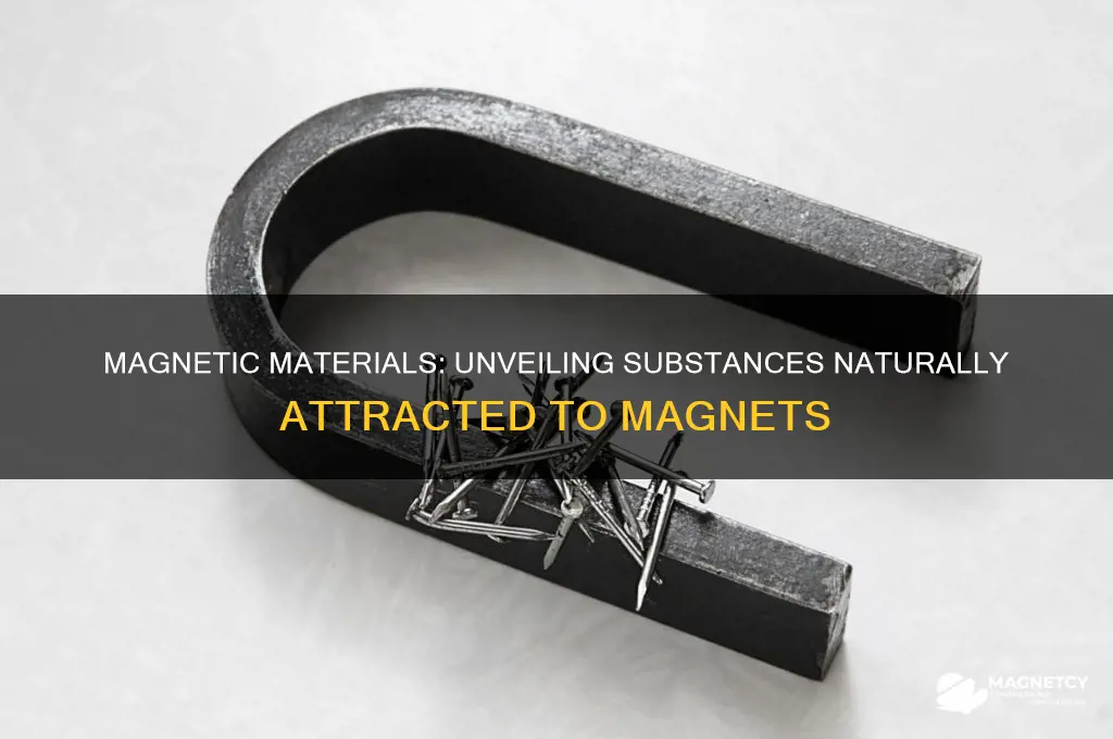 what substance is attracted to a magnet