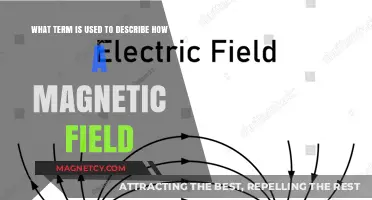 Understanding Magnetic Fields: The Term Behind Their Interaction and Behavior