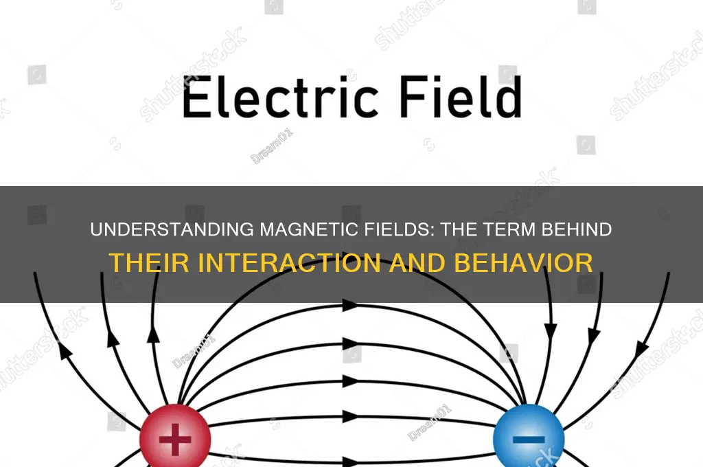 what term is used to describe how a magnetic field
