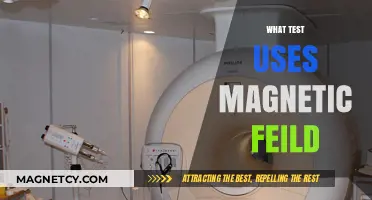 Exploring Magnetic Fields: The Science Behind MRI Technology