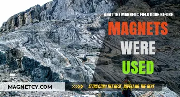 Magnetic Fields' Ancient Roles Before Magnets Shaped Human History