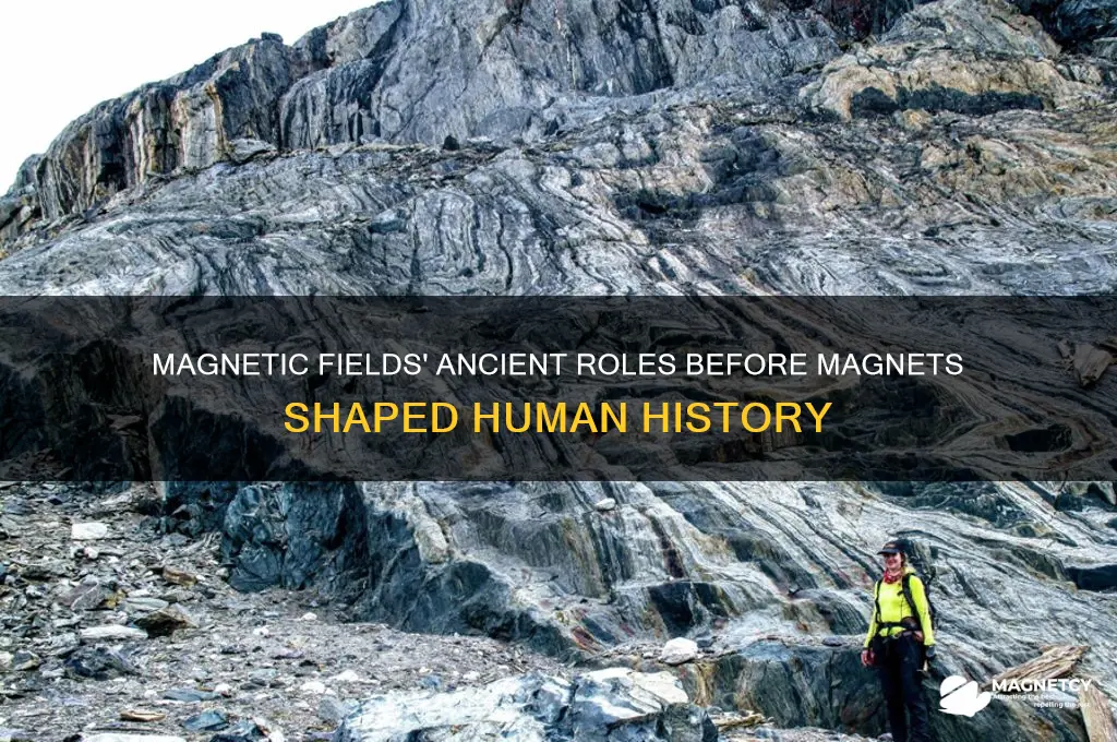 what the magnetic field done before magnets were used