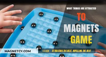 Magnetic Attraction: Fun Game to Discover What Sticks to Magnets