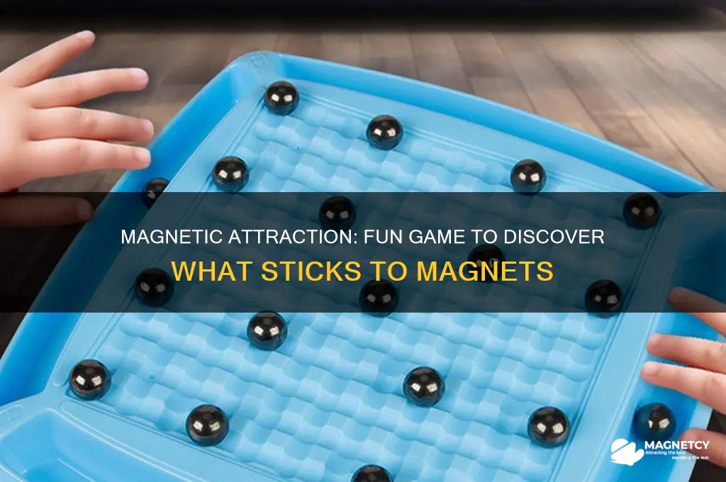 what things are attracted to magnets game