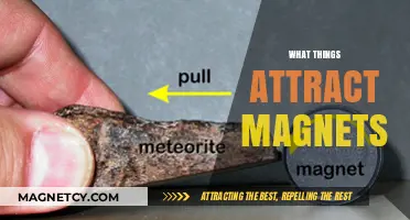 Magnetic Mysteries: Unveiling the Surprising Materials Magnets Attract
