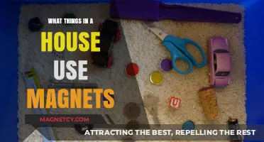 Magnetic Marvels: Everyday Household Items Powered by Magnets