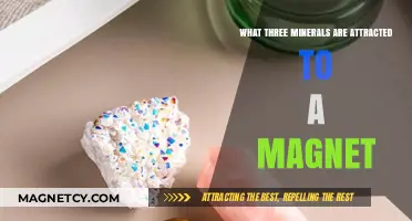 Magnetic Minerals: Unveiling the Trio Drawn to Magnets' Pull