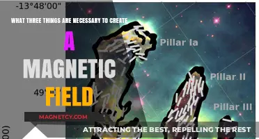 Unlocking the Secrets of Magnetism: Three Essential Elements Revealed