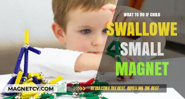 Magnet Ingestion in Children: Immediate Actions and Medical Guidance