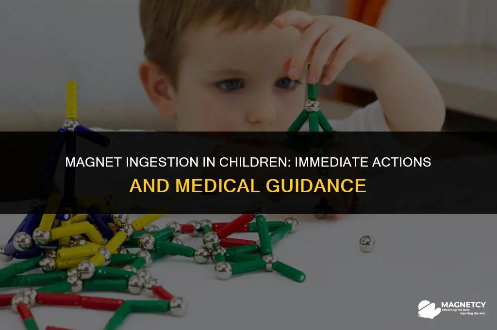 what to do if child swallowed small magnet