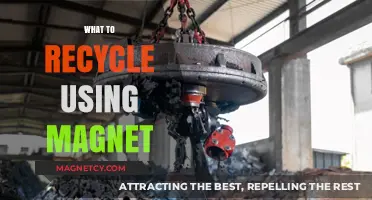 Magnetic Recycling Guide: Sorting Metals for Eco-Friendly Disposal