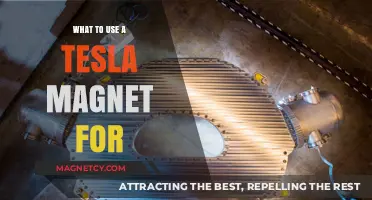 Creative Uses for Tesla Magnets: Innovative Applications and Practical Tips