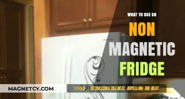 Non-Magnetic Fridge Solutions: Creative Ways to Organize and Decorate