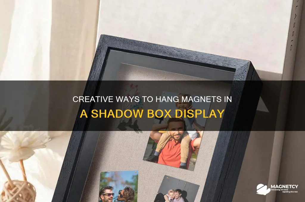 what to use to hang magnets in shaow box