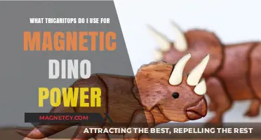 Triceratops Selection Guide: Unleash Magnetic Dino Power with the Right Choice