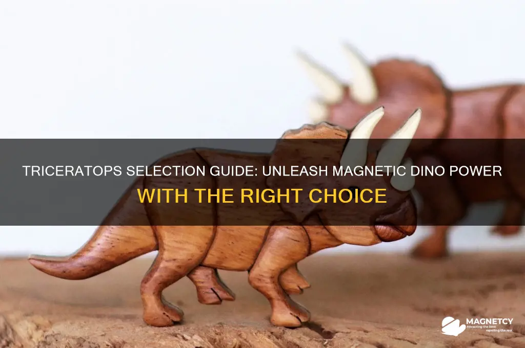 what tricaritops do i use for magnetic dino power
