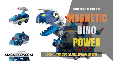 Magnetic Dino Power: Choosing the Perfect Trike for Maximum Adventure
