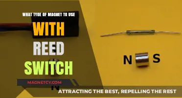 Choosing the Right Magnet for Reed Switch Applications: A Guide