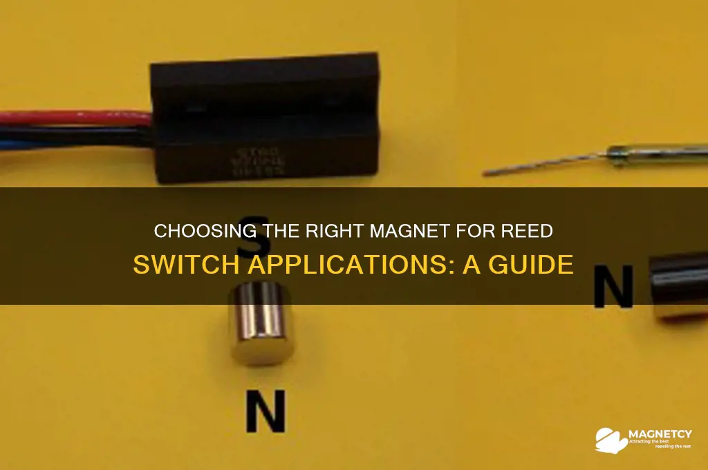 what tyoe of magnet to use with reed switch