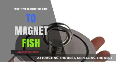 Choosing the Right Magnet for Magnet Fishing: A Beginner's Guide