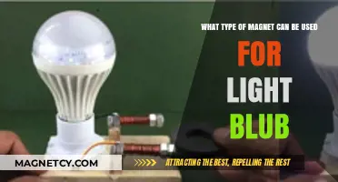 Best Magnet Types for Efficient Light Bulb Applications Explained