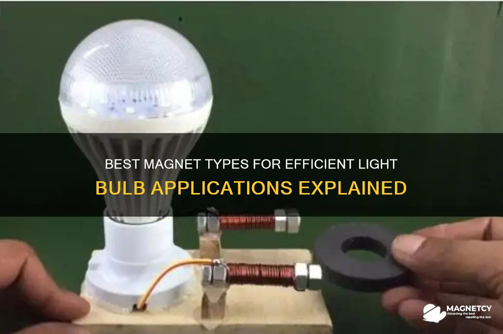 what type of magnet can be used for light blub