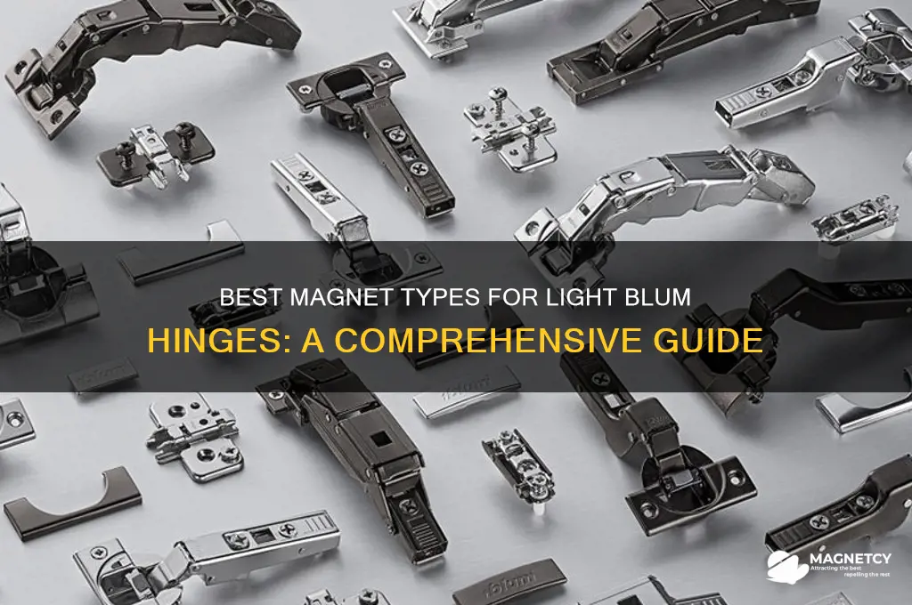 what type of magnet can be used for light blum