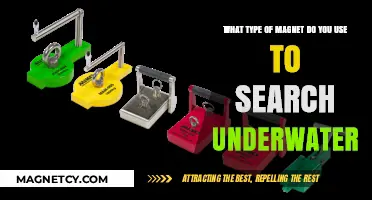 Best Underwater Magnet Types for Effective Submerged Treasure Hunting