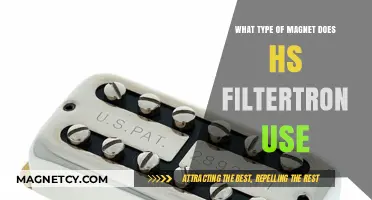 HS Filtertron Magnet Type: Unveiling the Magnetic Technology Inside