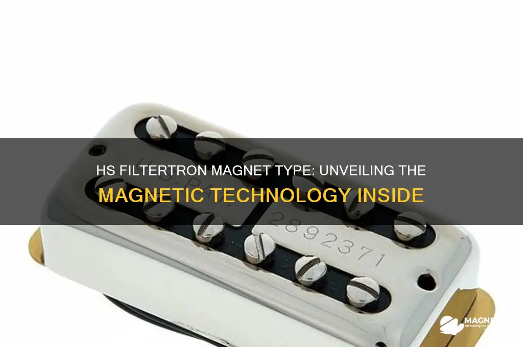 what type of magnet does hs filtertron use
