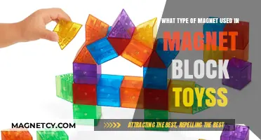 Exploring the Magnetic Power: Types of Magnets in Building Block Toys