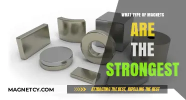 Exploring the Power of Neodymium: The Strongest Magnets Unveiled