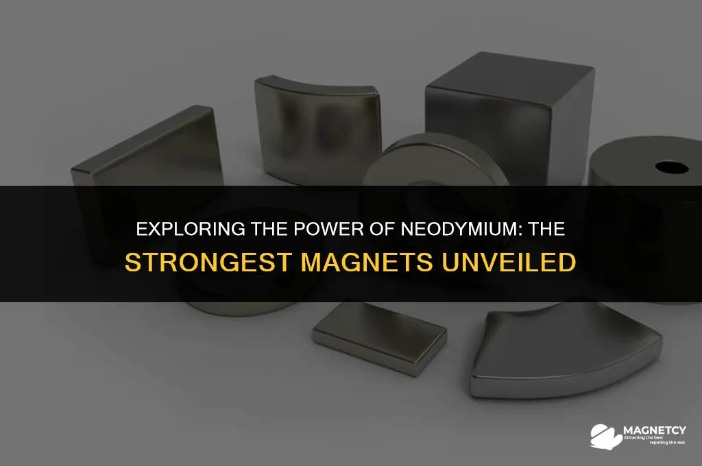 what type of magnets are the strongest