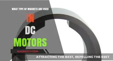 Exploring Magnet Types in DC Motors: Efficiency and Performance