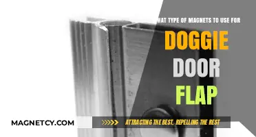 Best Magnet Types for Secure and Efficient Doggie Door Flaps