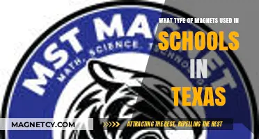 Texas Schools' Magnet Choices: Types and Educational Applications Explained