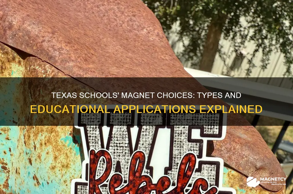 what type of magnets used in schools in texas