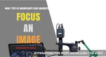 Magnetic Microscopy: How Magnets Enhance Image Focusing Techniques