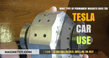 Tesla's Magnetic Power: Exploring Permanent Magnets in Electric Vehicles