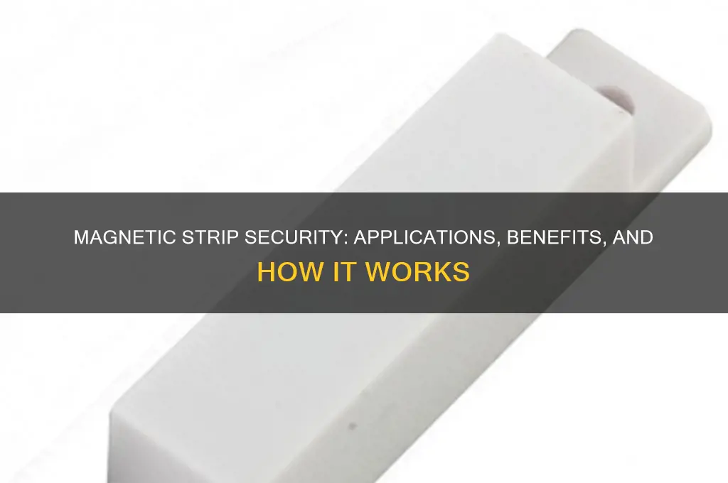 what type of security uses magnetic strips