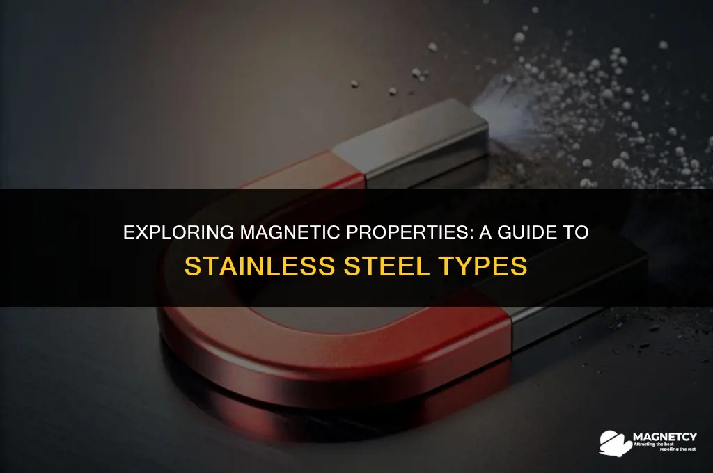 what type of stainless steel is magnetic