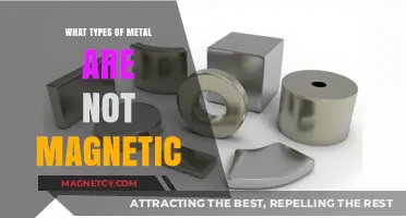 Exploring Non-Magnetic Metals: A Comprehensive Guide