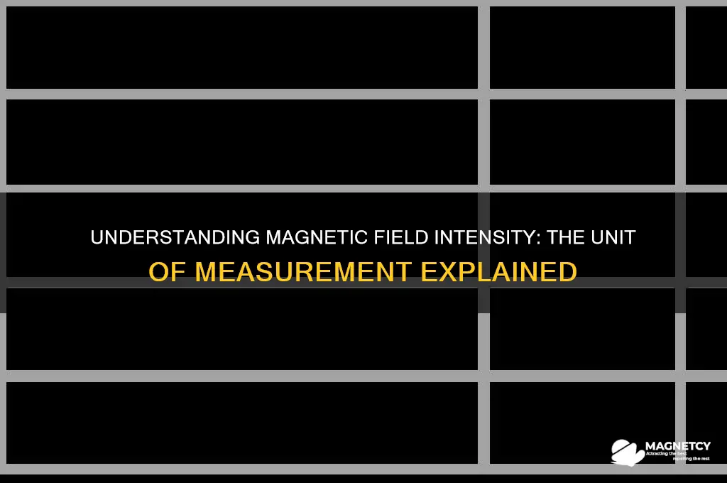 what unit is used for magnetic field intensity